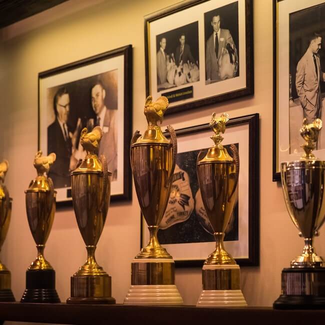 Wall of Jaindl awards