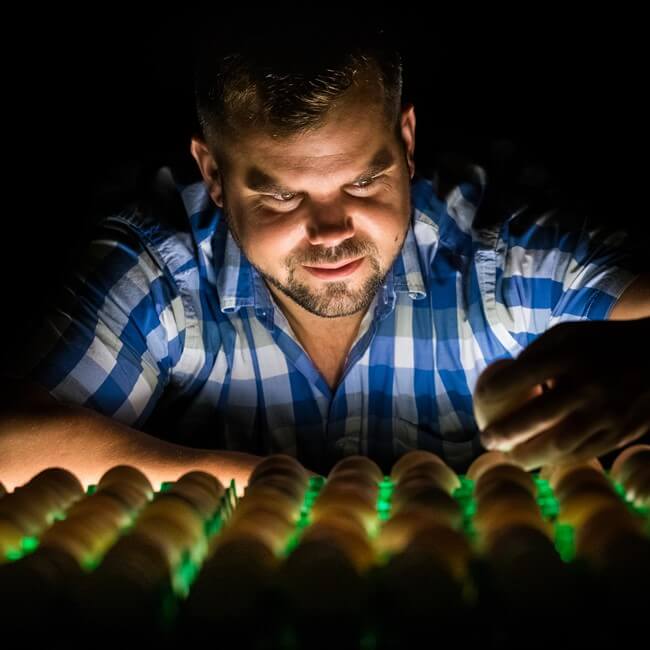 Jaindl egg incubator