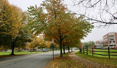 Winchester Plaza Corporate Center