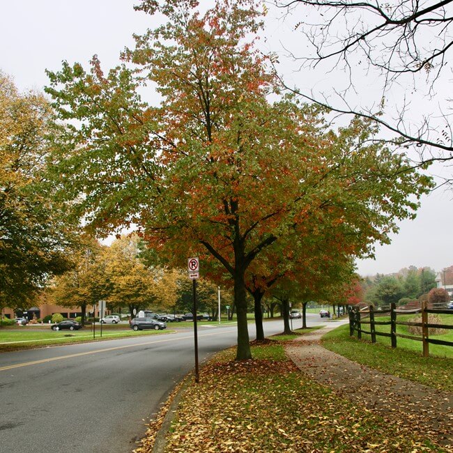 Winchester Plaza Corporate Center